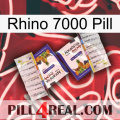 Rhino 7000 Pill 12